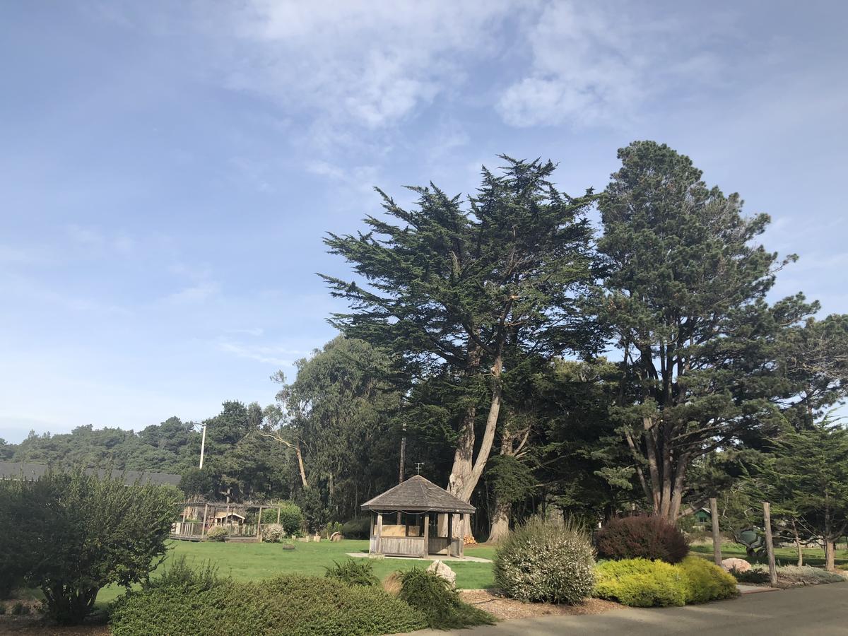 Pine Beach Inn Φορτ Μπραγκ Εξωτερικό φωτογραφία
